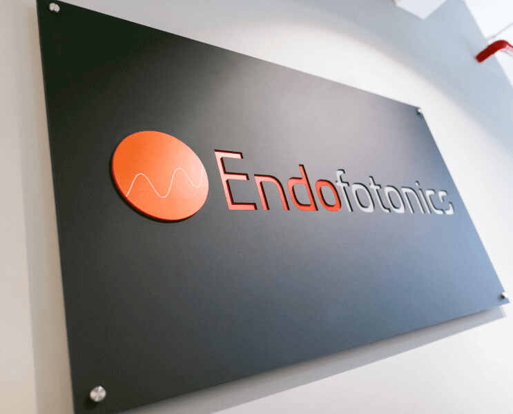 Endofotonics