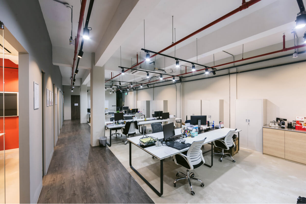 Workspace in Endofotonics